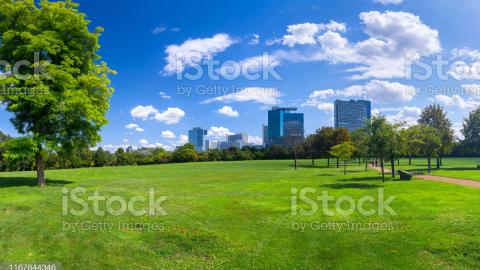 istockphoto-1167844346-2048x2048_cr.jpg